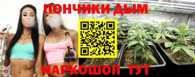 гашик Камышлов