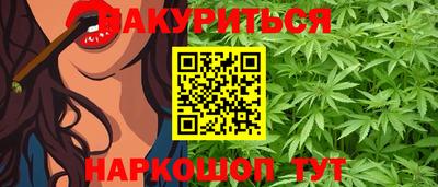 гашик Камышлов