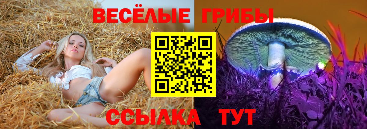Галлюциногенные грибы мухоморы  Вход с VPN  Люберцы  Псилоцибиновые грибы Cubensis 